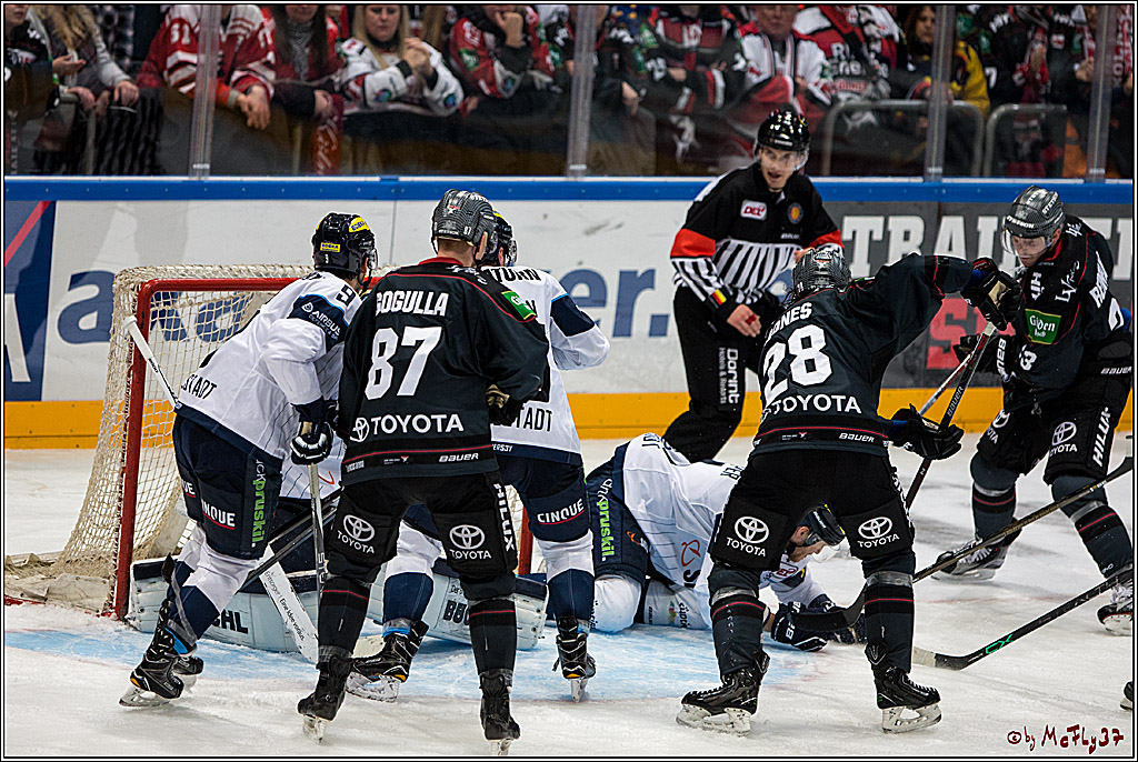 Koelner Haie - ERC Ingolstadt, 23.10.2016